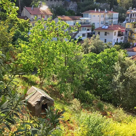 Dream View - Centre *