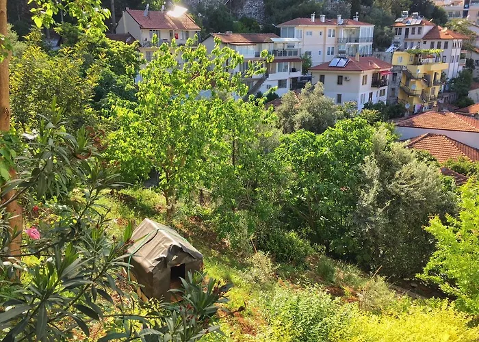 Dream View - Centre *